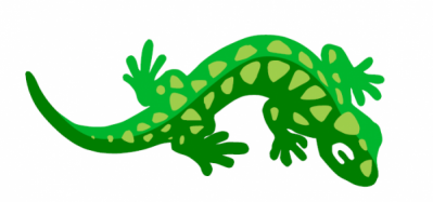 salamander